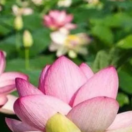 Cuor Di Bed & Breakfast